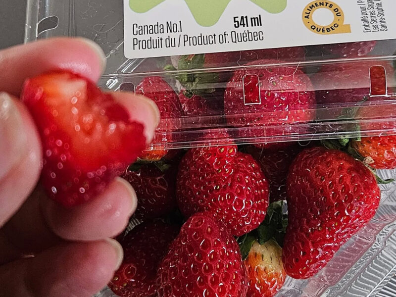 Savoura Strawberries
