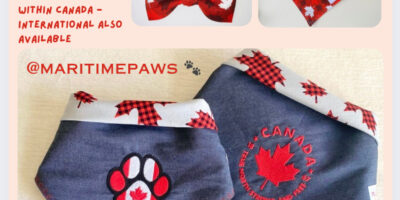 Pet Accessories