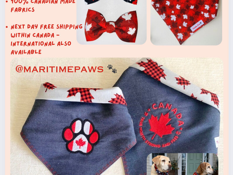 Pet Accessories