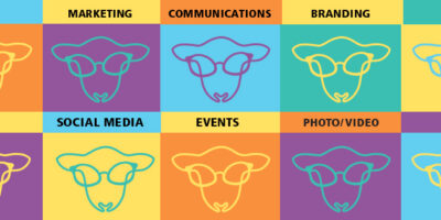Award Winning Marketing and PR Agency