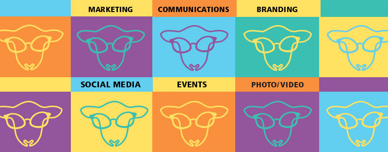 Award Winning Marketing and PR Agency