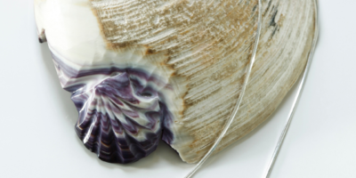 Marcia Poirier Shell Carver Inc
